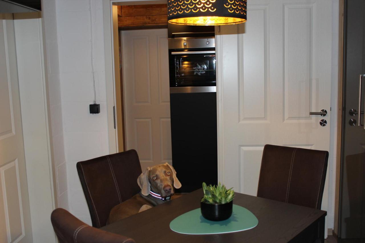 Kleine Souterrain Wohnung Naehe Hamburg Neu Wulmstorf Extérieur photo